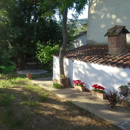 Camera D'Ambra-3